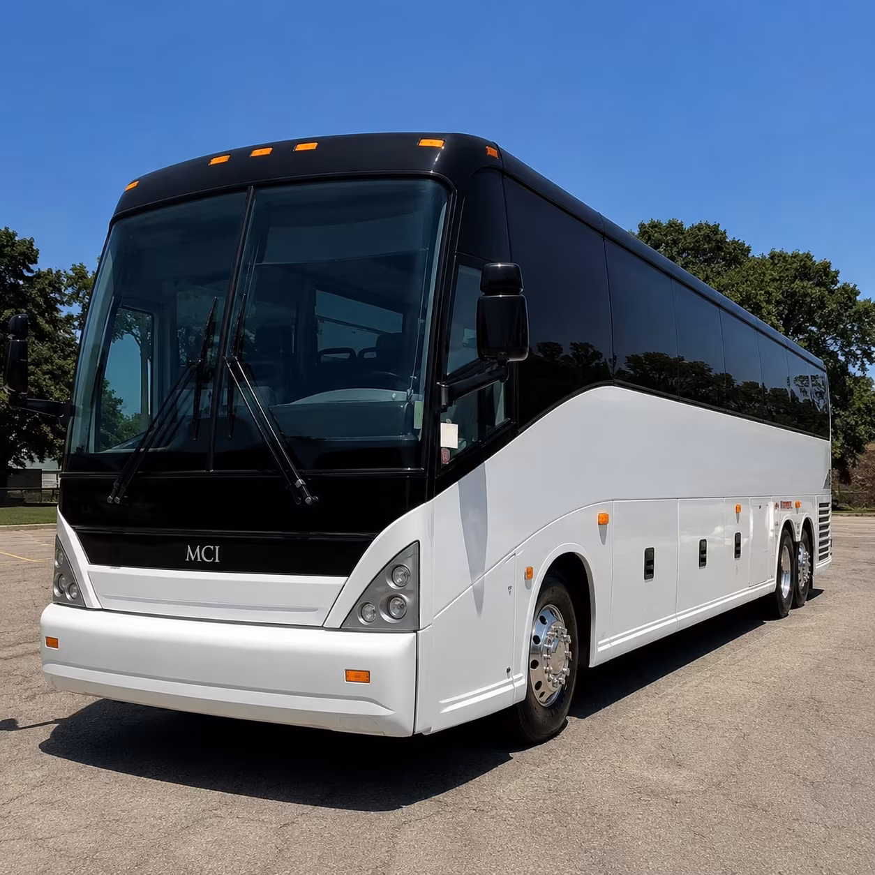 vista birthday party bus rental